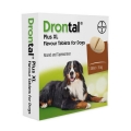 Worming Treatment